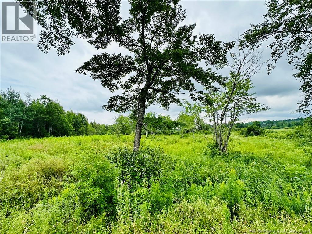 Lot 02-1 Slater Road, Maxwell, New Brunswick  E7N 2Z8 - Photo 35 - NB123026