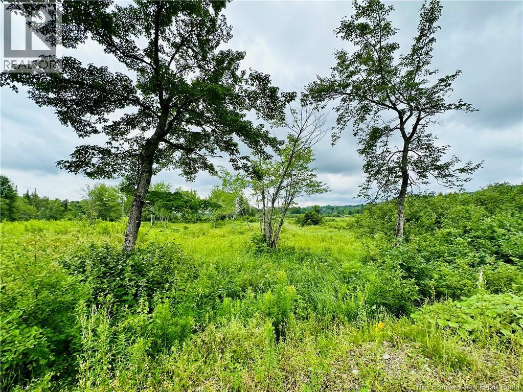 Lot 02-1 Slater Road, Maxwell, New Brunswick  E7N 2Z8 - Photo 36 - NB123026