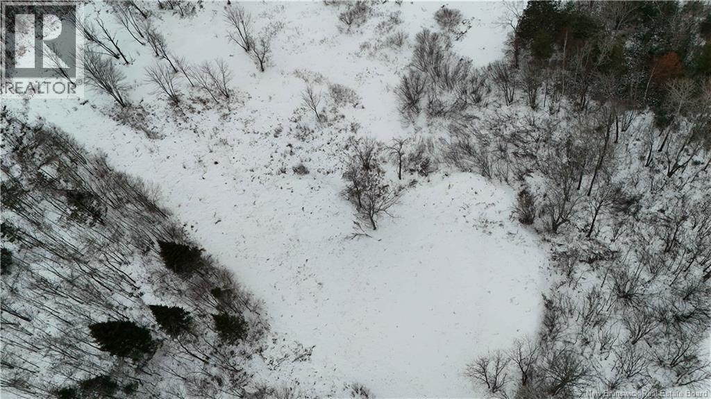 Lot 02-1 Slater Road, Maxwell, New Brunswick  E7N 2Z8 - Photo 41 - NB123026
