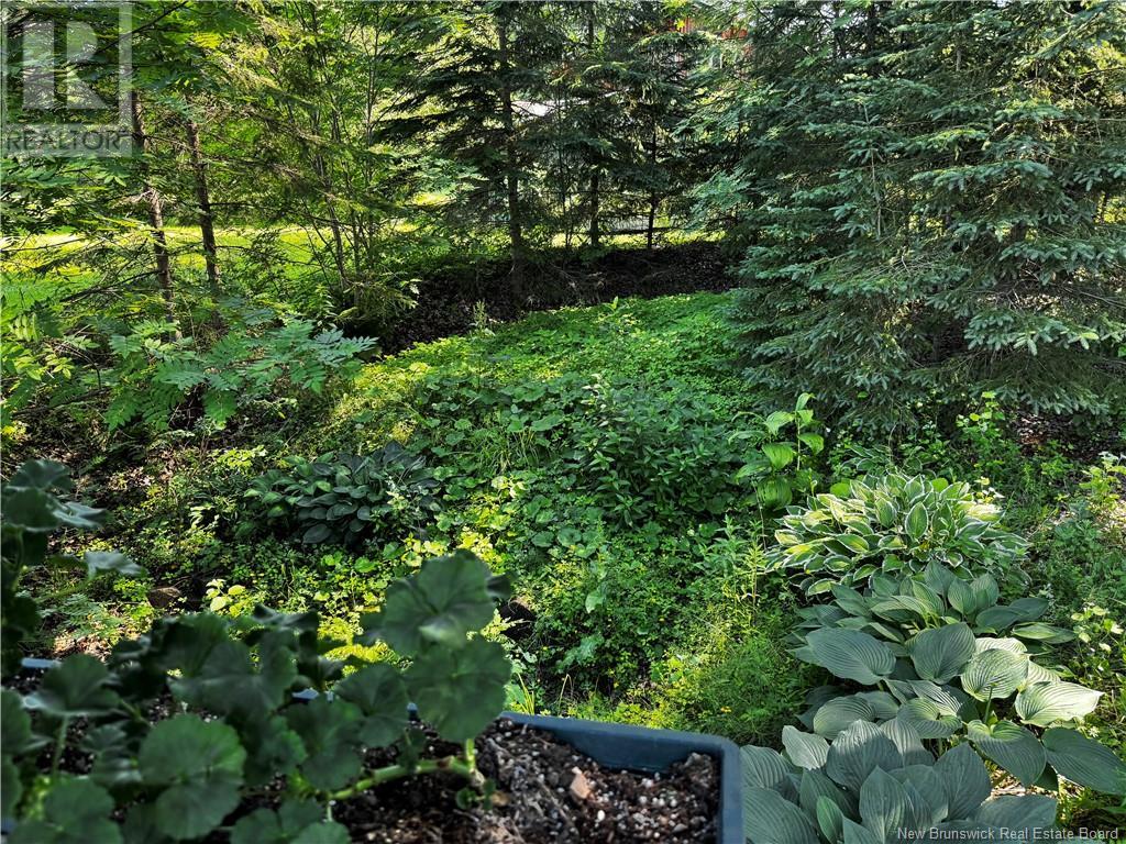 1076 Baisley Road, Saint-Jacques, New Brunswick  E7B 2A3 - Photo 41 - NB123118