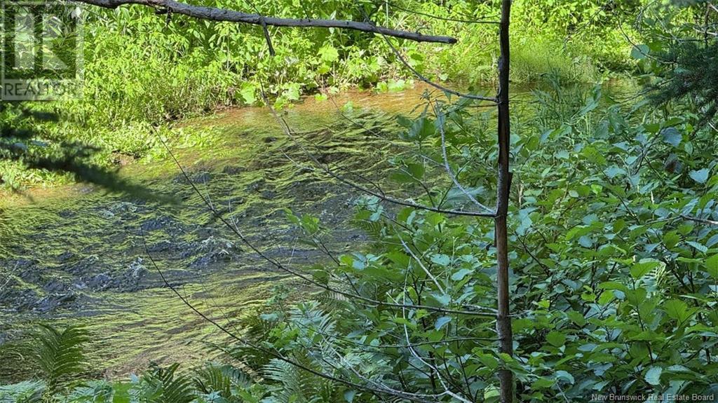 74 Frontiere Street, Saint-François-De-Madawaska, New Brunswick  E7A 1C7 - Photo 28 - NB123369