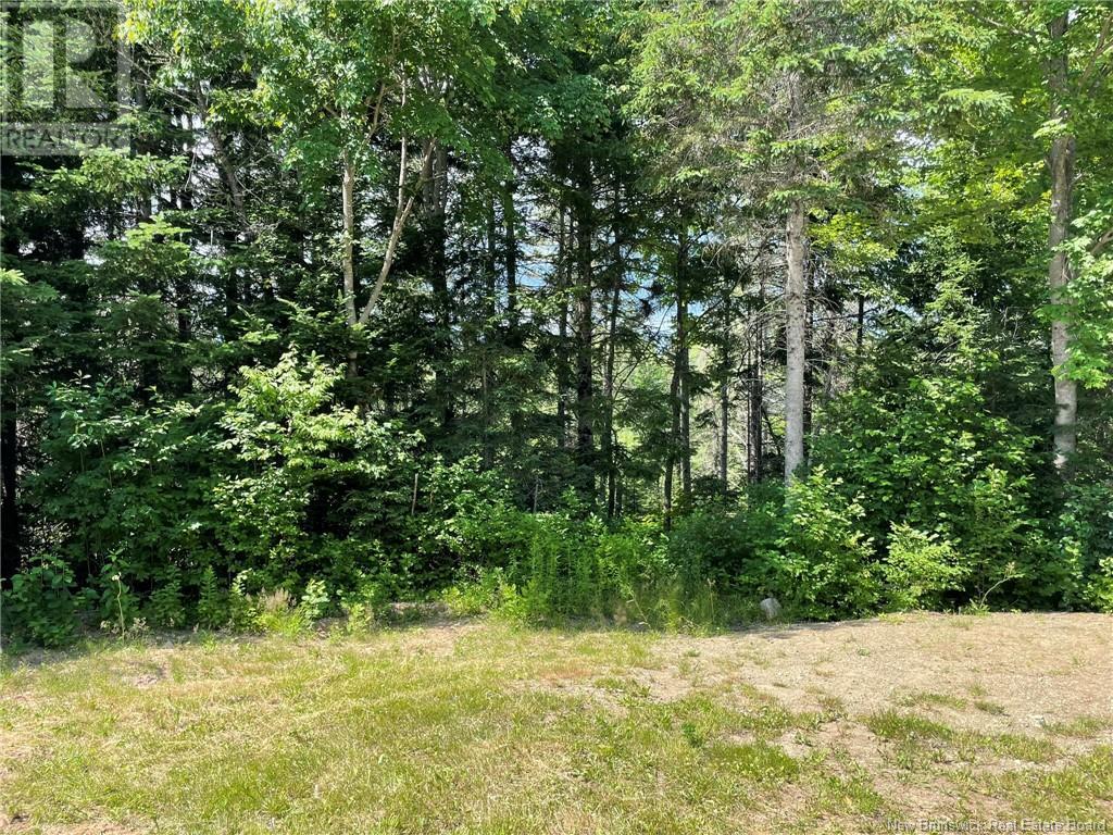 2220 Saint-Charles Sud, Saint-Charles, New Brunswick  E4W 4W7 - Photo 9 - NB123373