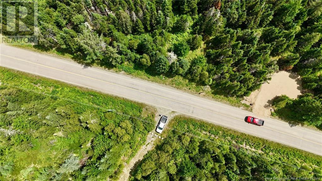 00 740 Route, Basswood Ridge, New Brunswick E3L 5A8 - Photo 10 - NB123251