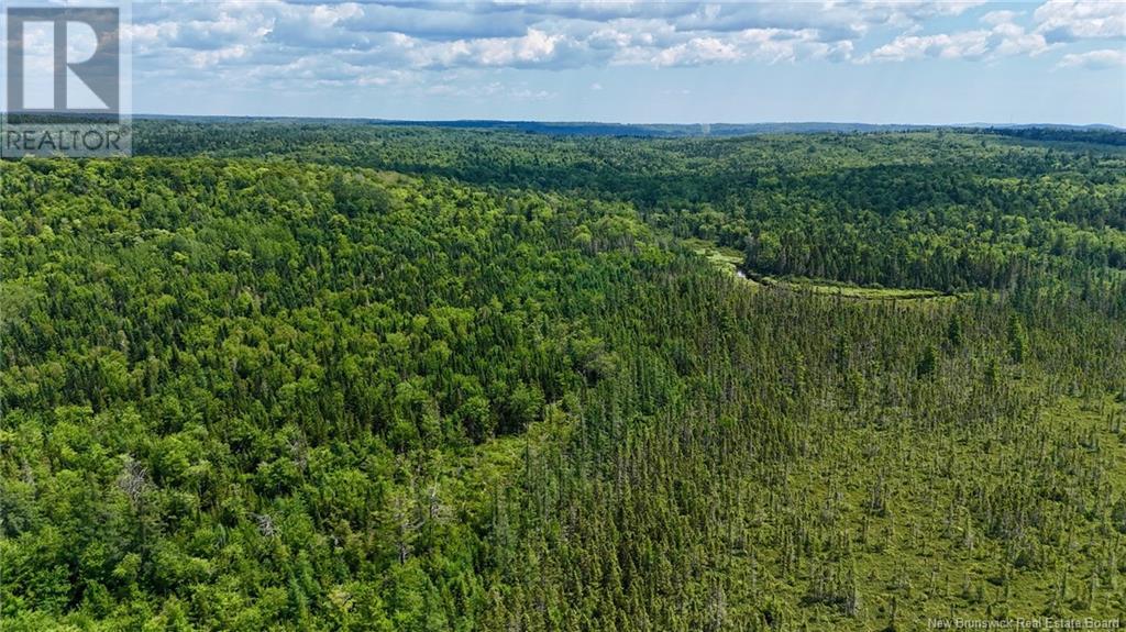 00 740 Route, Basswood Ridge, New Brunswick E3L 5A8 - Photo 11 - NB123251