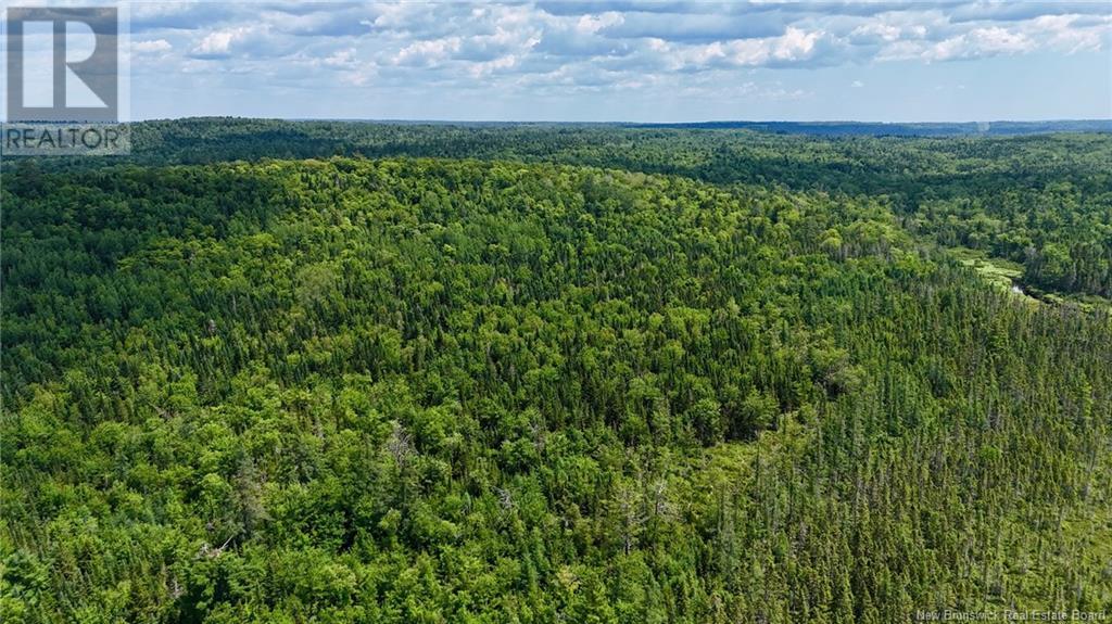 00 740 Route, Basswood Ridge, New Brunswick E3L 5A8 - Photo 12 - NB123251
