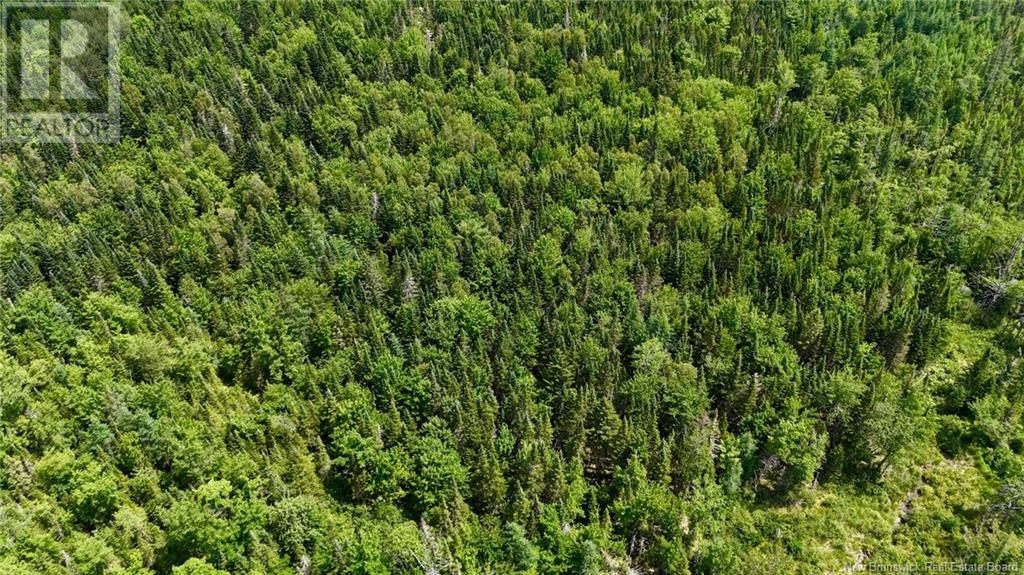 00 740 Route, Basswood Ridge, New Brunswick E3L 5A8 - Photo 13 - NB123251