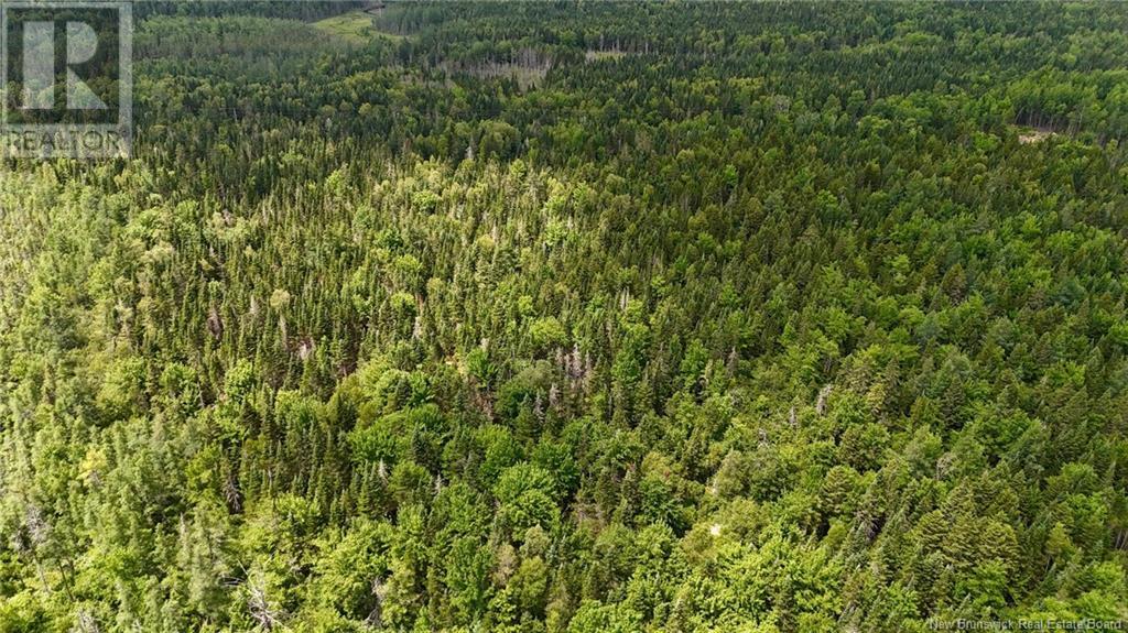00 740 Route, Basswood Ridge, New Brunswick E3L 5A8 - Photo 14 - NB123251