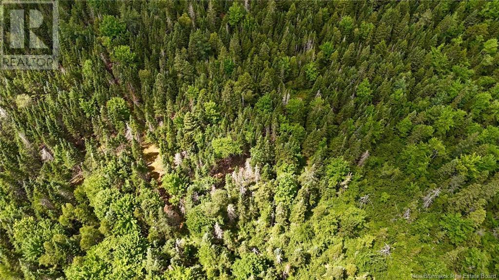 00 740 Route, Basswood Ridge, New Brunswick E3L 5A8 - Photo 15 - NB123251