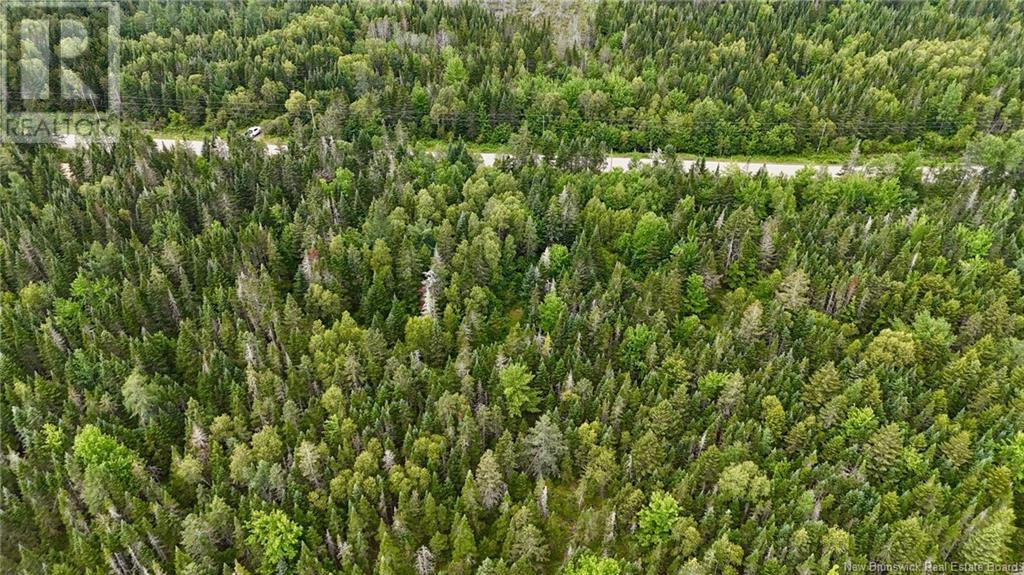00 740 Route, Basswood Ridge, New Brunswick E3L 5A8 - Photo 16 - NB123251