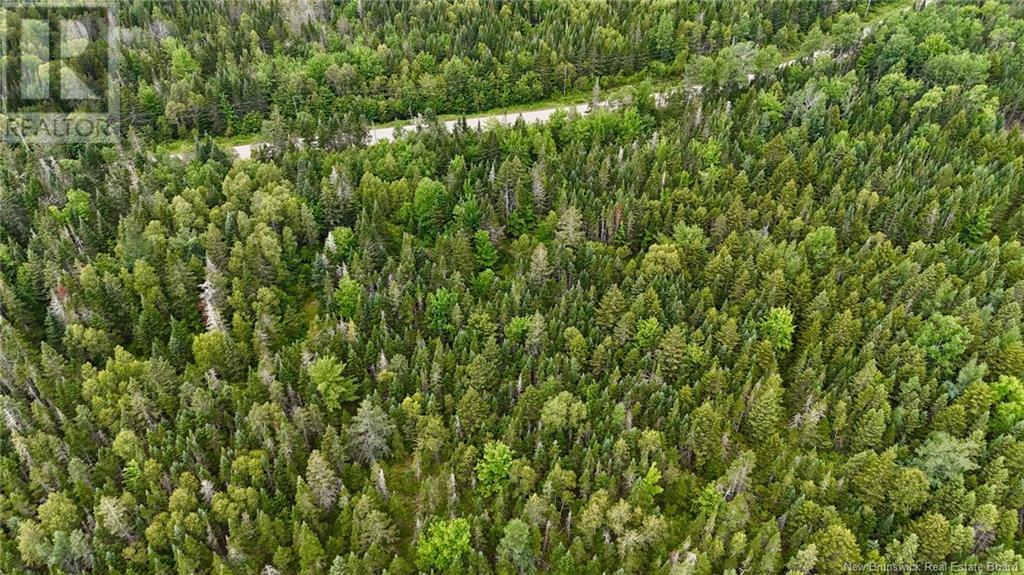 00 740 Route, Basswood Ridge, New Brunswick E3L 5A8 - Photo 17 - NB123251