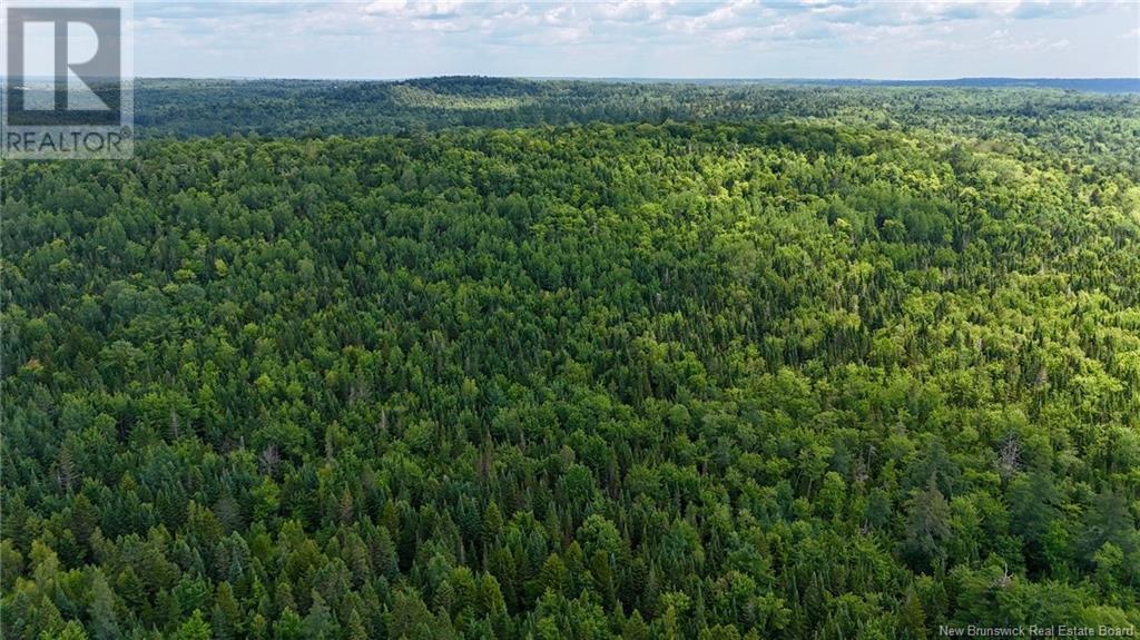 00 740 Route, Basswood Ridge, New Brunswick E3L 5A8 - Photo 18 - NB123251