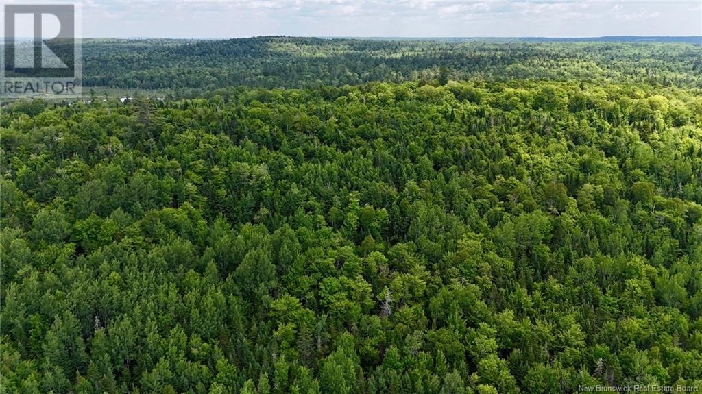00 740 Route, Basswood Ridge, New Brunswick E3L 5A8 - Photo 19 - NB123251