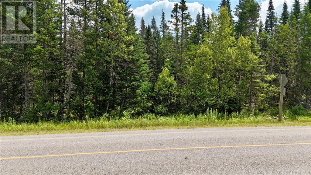 00 740 Route, Basswood Ridge, New Brunswick E3L 5A8 - Photo 2 - NB123251