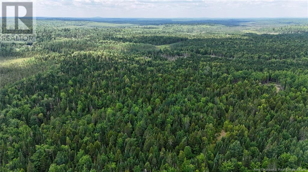 00 740 Route, Basswood Ridge, New Brunswick E3L 5A8 - Photo 20 - NB123251