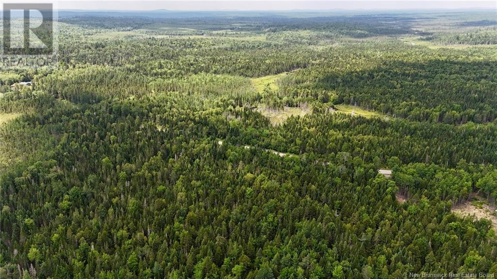 00 740 Route, Basswood Ridge, New Brunswick E3L 5A8 - Photo 21 - NB123251