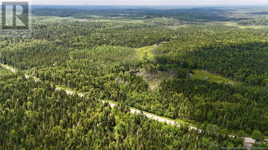 00 740 Route, Basswood Ridge, New Brunswick E3L 5A8 - Photo 22 - NB123251