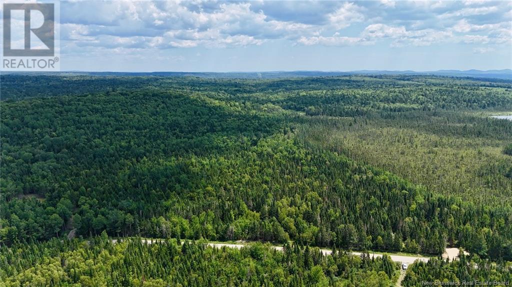 00 740 Route, Basswood Ridge, New Brunswick E3L 5A8 - Photo 23 - NB123251