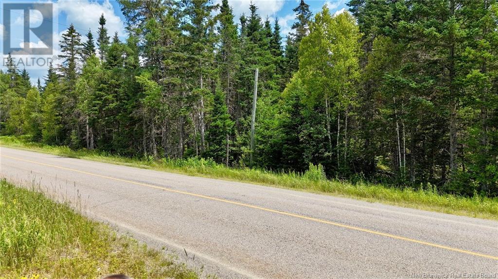 00 740 Route, Basswood Ridge, New Brunswick E3L 5A8 - Photo 3 - NB123251