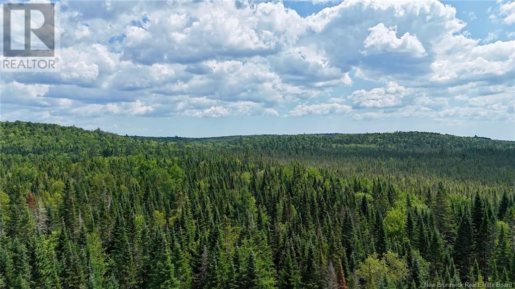 00 740 Route, Basswood Ridge, New Brunswick E3L 5A8 - Photo 4 - NB123251