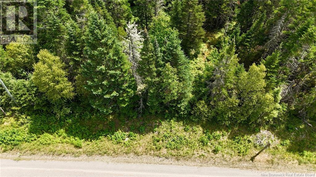 00 740 Route, Basswood Ridge, New Brunswick E3L 5A8 - Photo 5 - NB123251