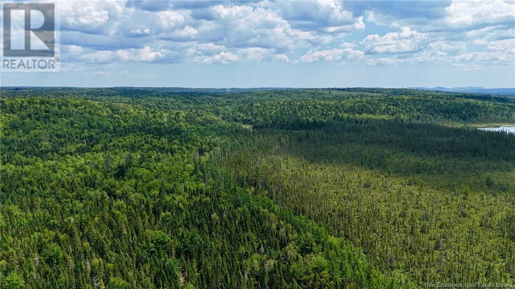 00 740 Route, Basswood Ridge, New Brunswick E3L 5A8 - Photo 6 - NB123251