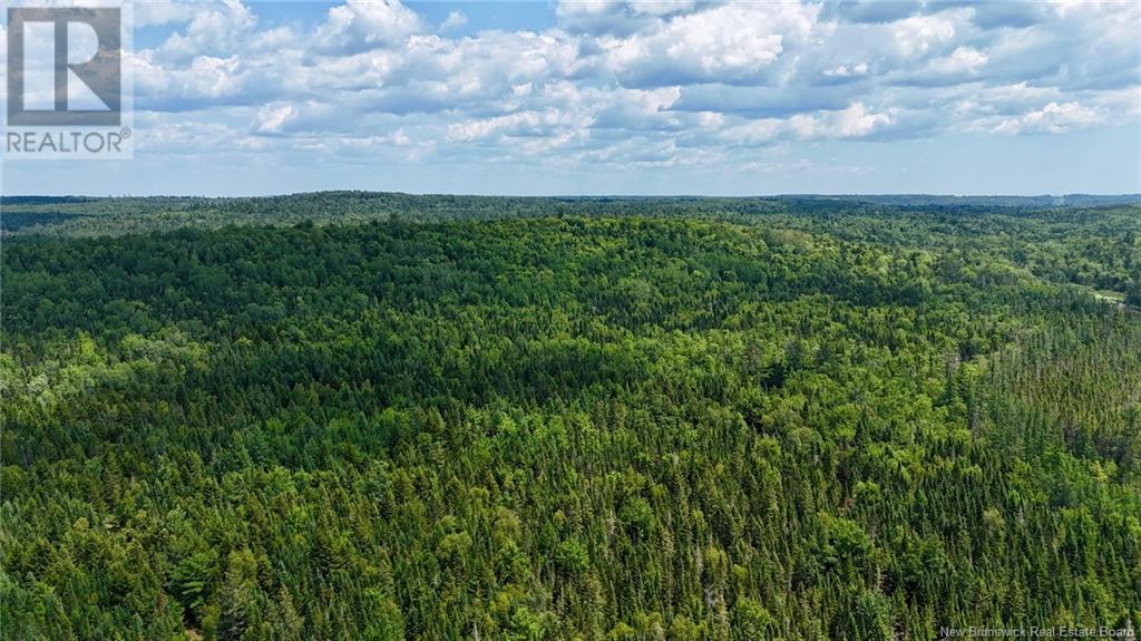 00 740 Route, Basswood Ridge, New Brunswick E3L 5A8 - Photo 7 - NB123251