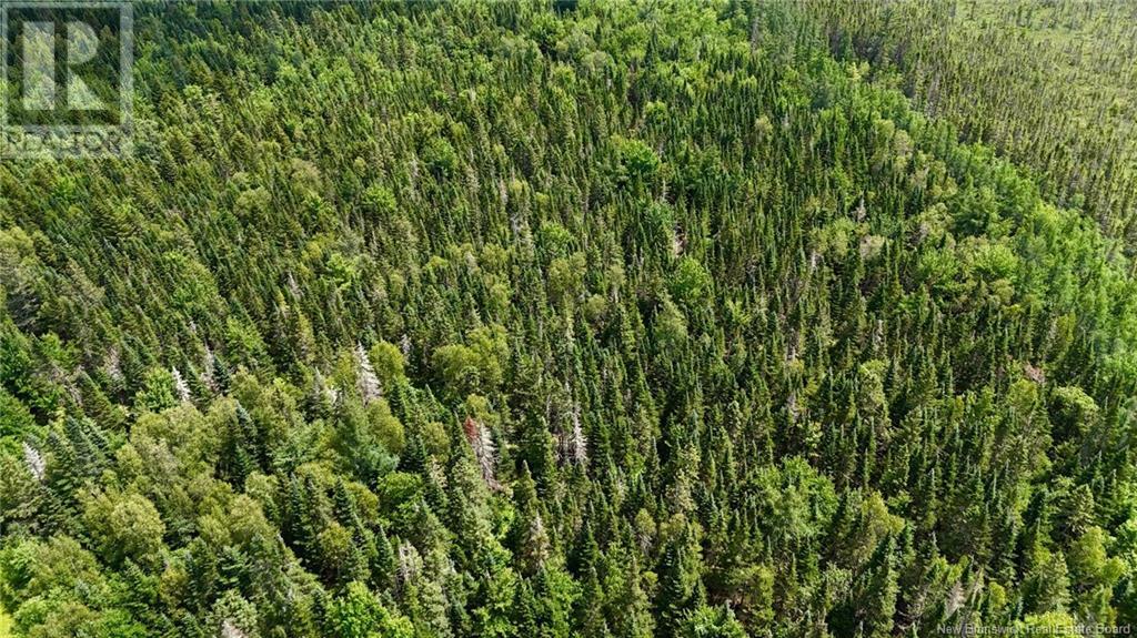 00 740 Route, Basswood Ridge, New Brunswick E3L 5A8 - Photo 8 - NB123251