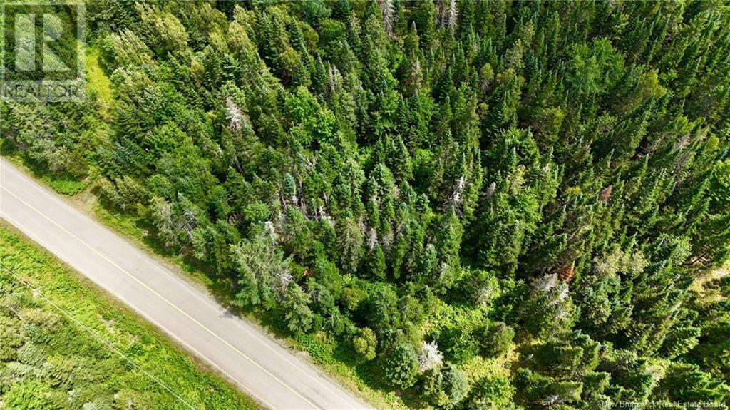 00 740 Route, Basswood Ridge, New Brunswick E3L 5A8 - Photo 9 - NB123251