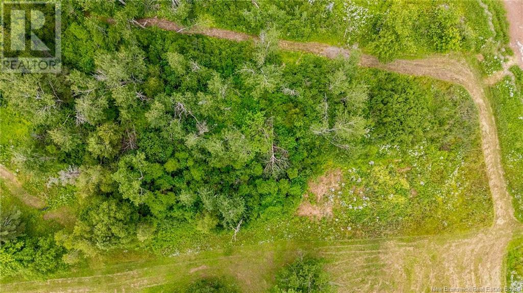 Lot Johnston Point Road, Johnston Point, New Brunswick  E4M 1P3 - Photo 13 - NB123410
