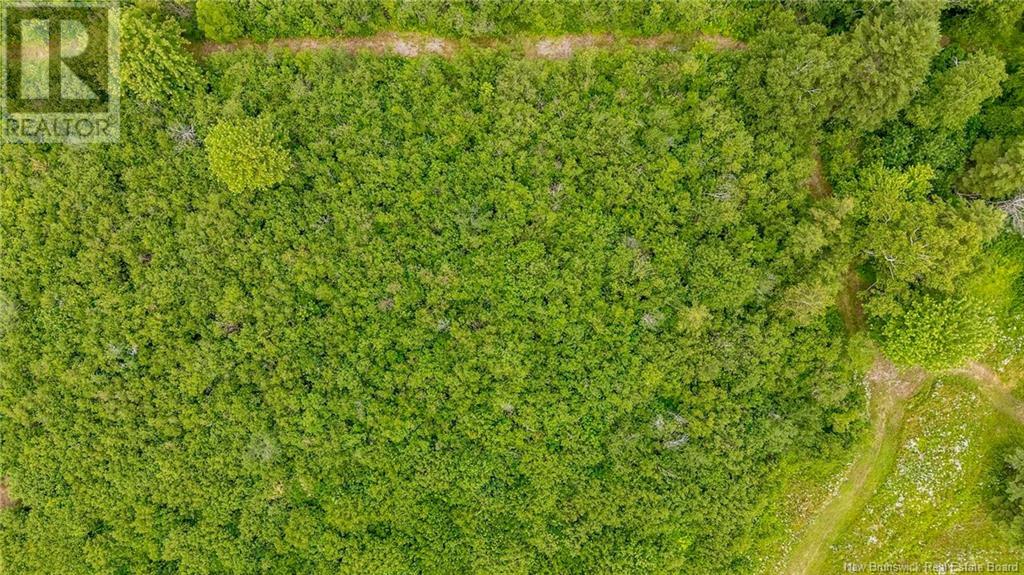 Lot Johnston Point Road, Johnston Point, New Brunswick  E4M 1P3 - Photo 14 - NB123410