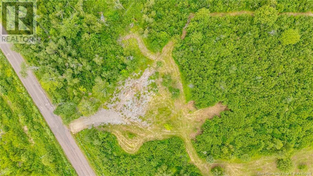 Lot Johnston Point Road, Johnston Point, New Brunswick  E4M 1P3 - Photo 15 - NB123410