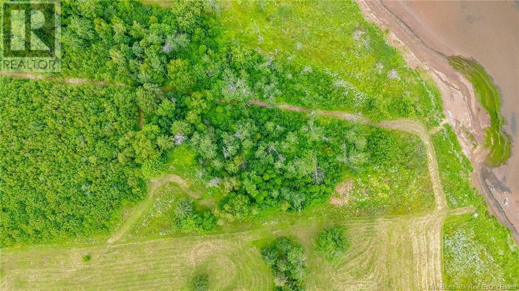 Lot Johnston Point Road, Johnston Point, New Brunswick  E4M 1P3 - Photo 4 - NB123410