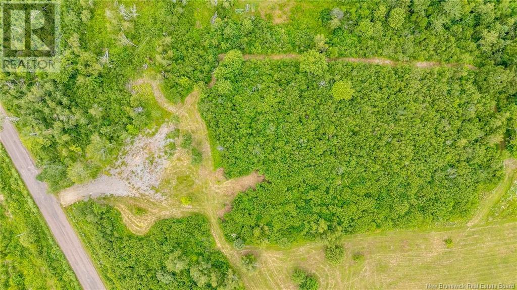 Lot Johnston Point Road, Johnston Point, New Brunswick  E4M 1P3 - Photo 5 - NB123410