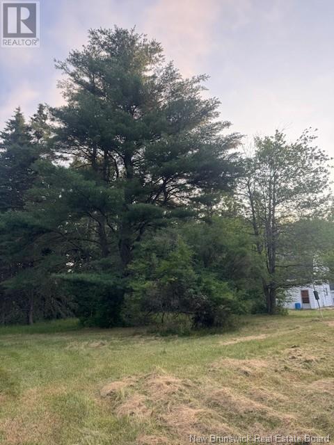 195 Morton Road, Wheaton Settlement, New Brunswick E4Z 3V1 - Photo 2 - NB122882