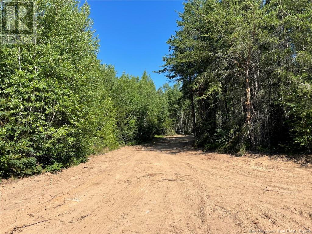 Lot Richard Hill Road, Shediac Bridge, New Brunswick  E4R 3M5 - Photo 1 - NB123414