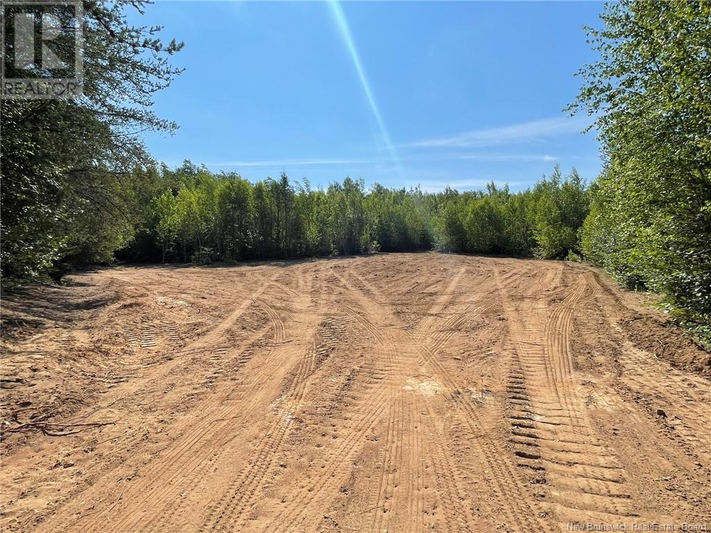Lot Richard Hill Road, Shediac Bridge, New Brunswick  E4R 3M5 - Photo 3 - NB123414