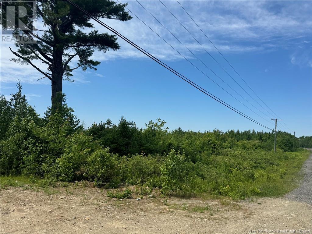 Vacant Lot Rte 126 Hwy Barnaby, Murray Settlement, New Brunswick E4Y 2T7 - Photo 3 - NB121876