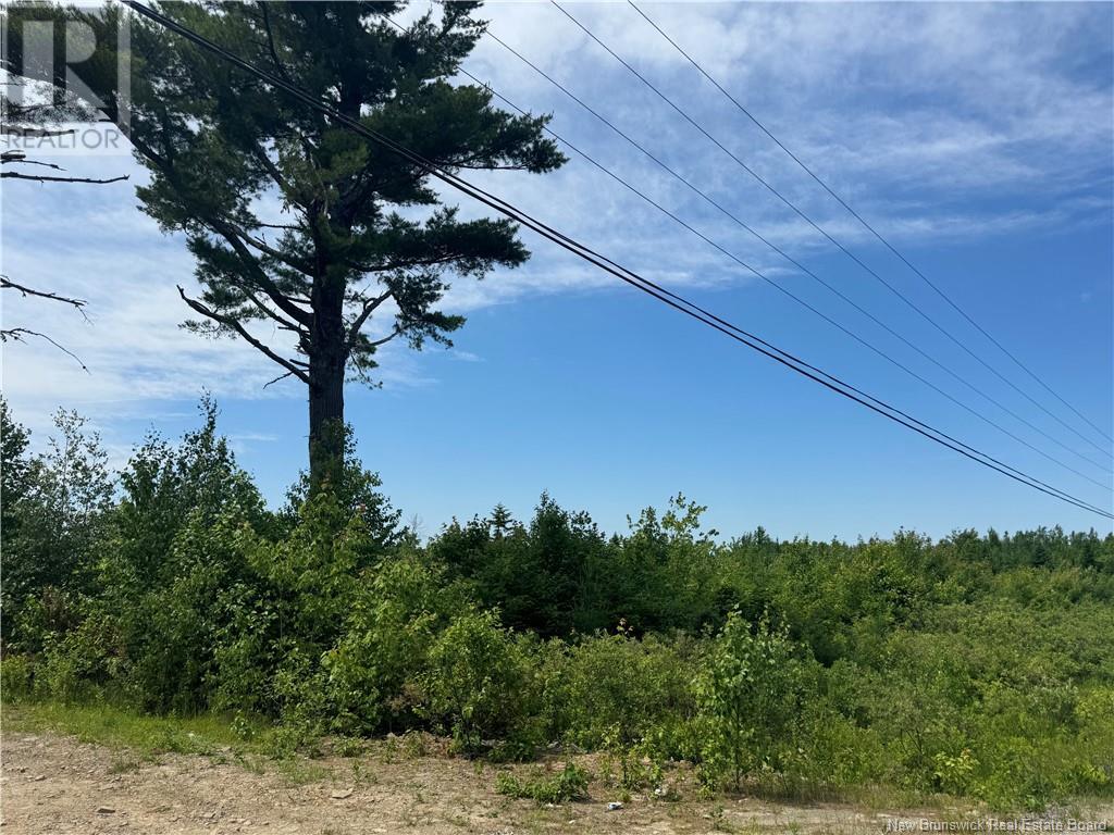 Vacant Lot Rte 126 Hwy Barnaby, Murray Settlement, New Brunswick E4Y 2T7 - Photo 4 - NB121876
