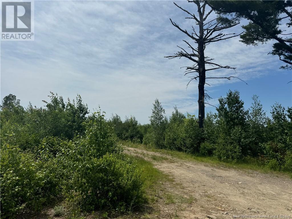 Vacant Lot Rte 126 Hwy Barnaby, Murray Settlement, New Brunswick E4Y 2T7 - Photo 5 - NB121876