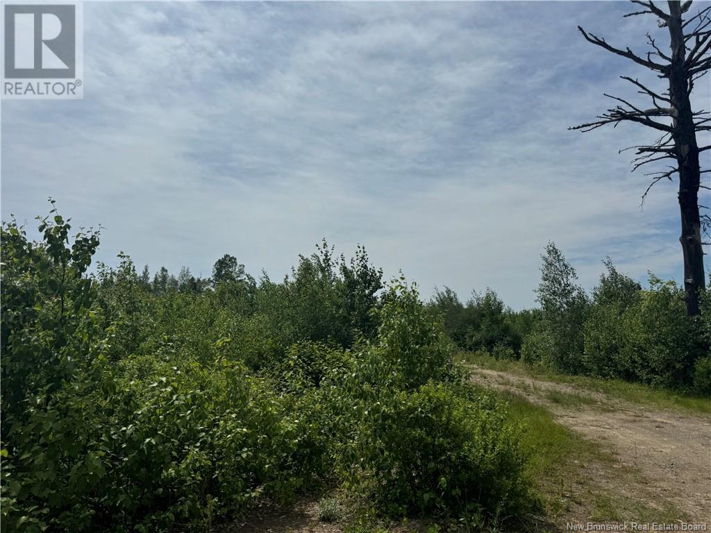 Vacant Lot Rte 126 Hwy Barnaby, Murray Settlement, New Brunswick E4Y 2T7 - Photo 6 - NB121876