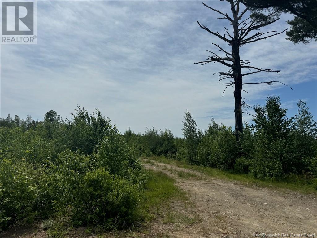 Vacant Lot Rte 126 Hwy Barnaby, Murray Settlement, New Brunswick E4Y 2T7 - Photo 7 - NB121876