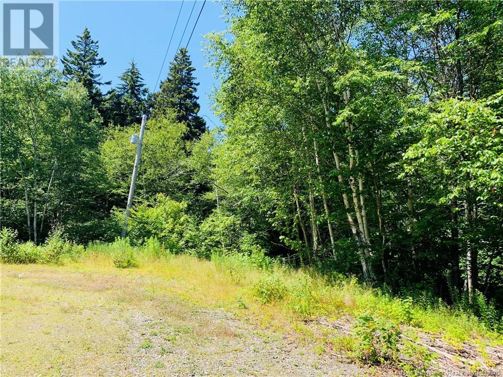 85-39 Alder Court, Wilsons Beach, New Brunswick E5E 1Z4 - Photo 3 - NB123529