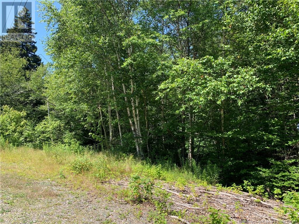 85-39 Alder Court, Wilsons Beach, New Brunswick E5E 1Z4 - Photo 4 - NB123529