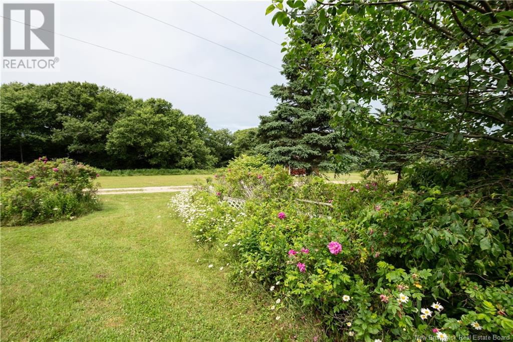 279 Cape Enrage Road, Waterside, New Brunswick  E4H 4L2 - Photo 45 - NB123197