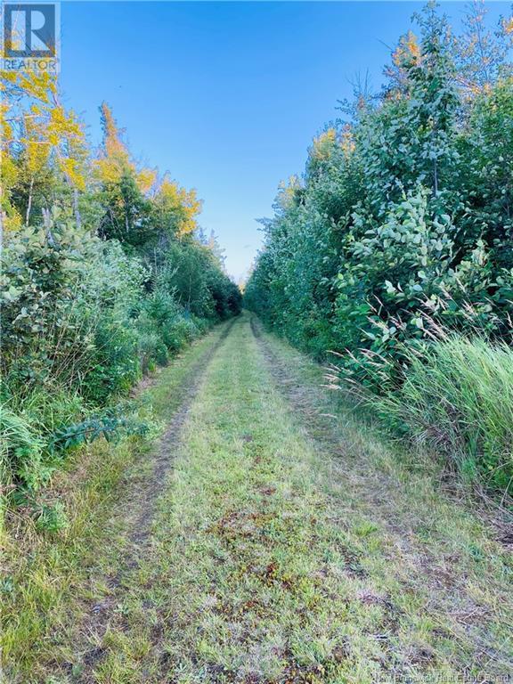 Point-Aux-Carr Road, Napan, New Brunswick  E1N 5A1 - Photo 4 - NB123469