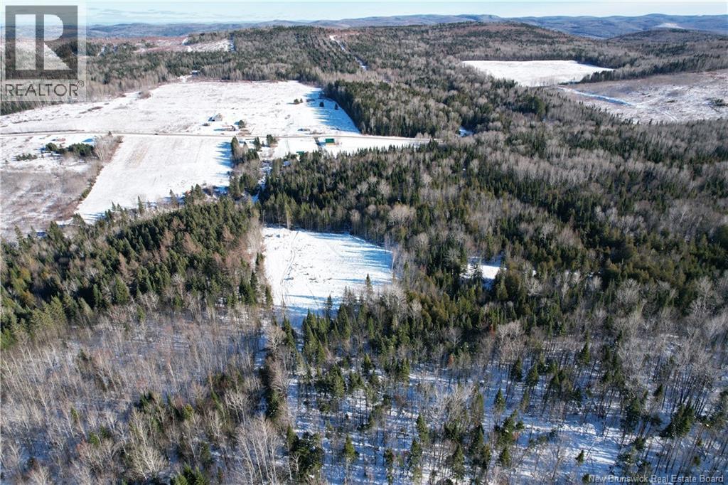 338 Glenburn Road, Carlingford, New Brunswick E7H 2E4 - Photo 48 - NB123699