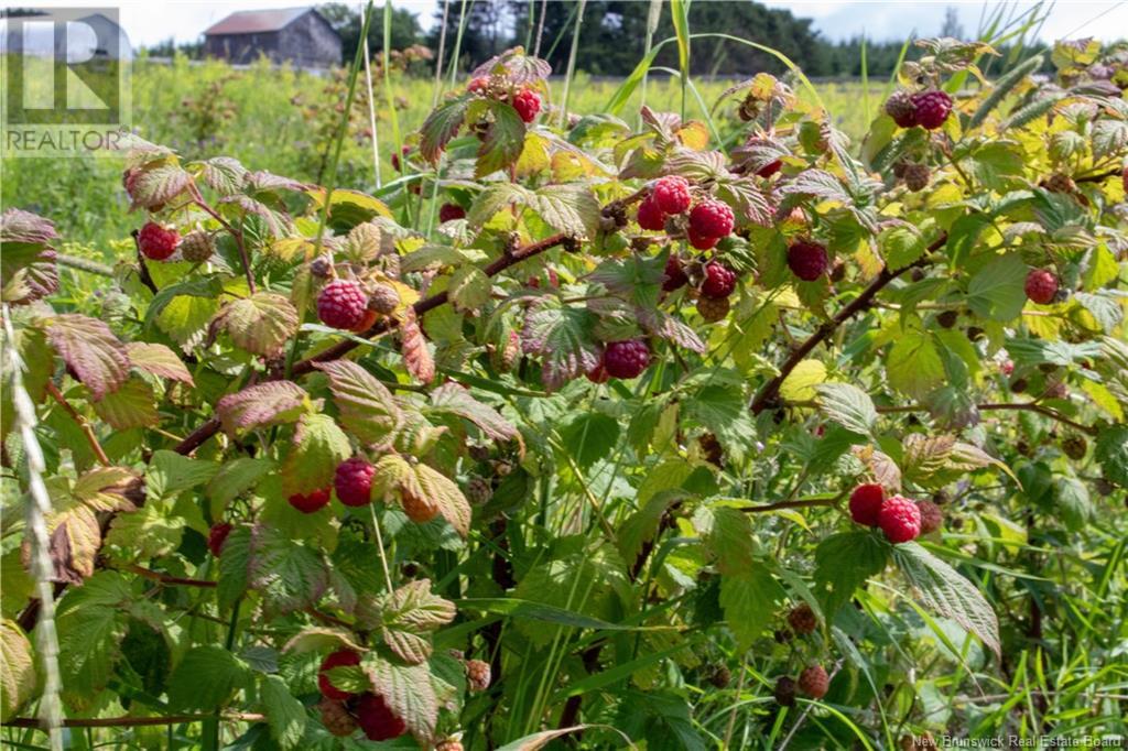 155 Rang 16 Sud Road, Saint-Quentin, New Brunswick  E8A 2H6 - Photo 14 - NB123690