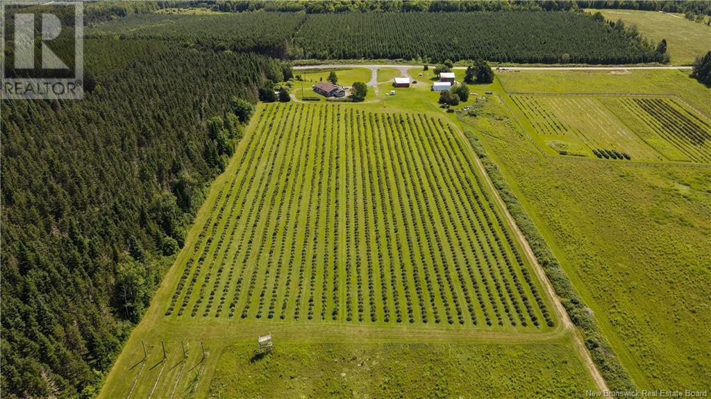 155 Rang 16 Sud Road, Saint-Quentin, New Brunswick  E8A 2H6 - Photo 5 - NB123690