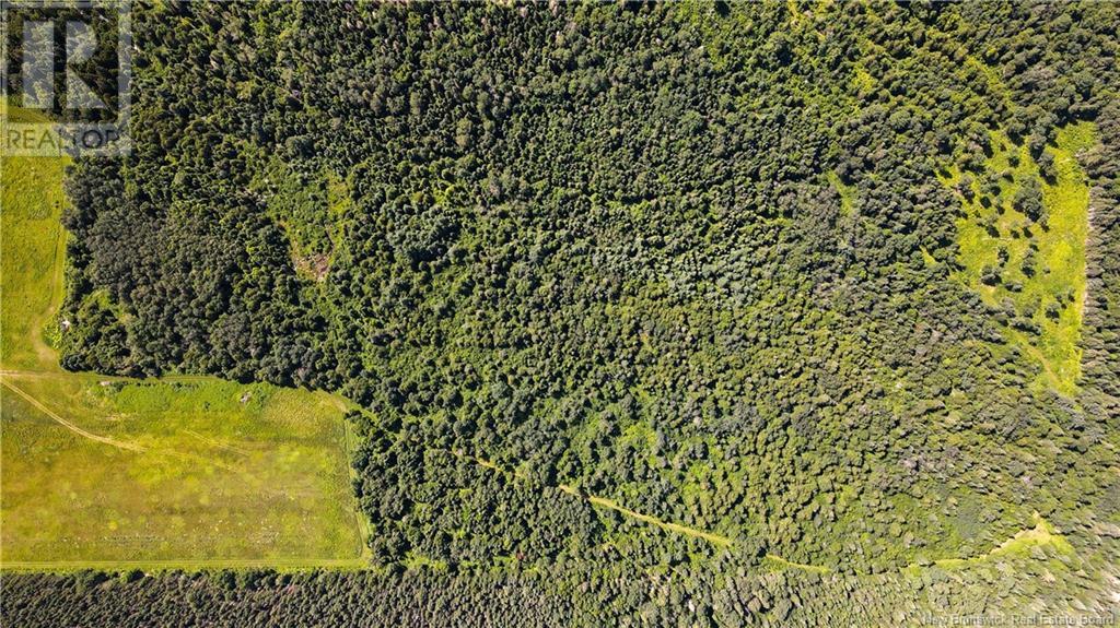 155 Rang 16 Sud Road, Saint-Quentin, New Brunswick  E8A 2H6 - Photo 6 - NB123690