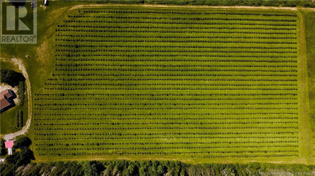 155 Rang 16 Sud Road, Saint-Quentin, New Brunswick  E8A 2H6 - Photo 8 - NB123690